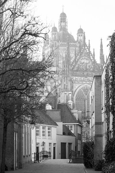 St. Jan's Cathedral by Ger van Beek