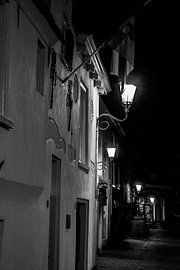 Sint Elisabeth Gasthuis Amersfoort