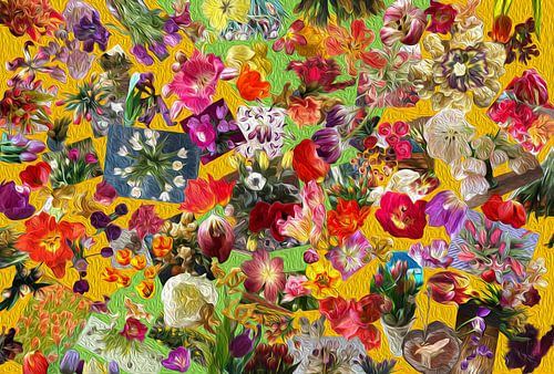 Projekt #RGBMitTulpe2017