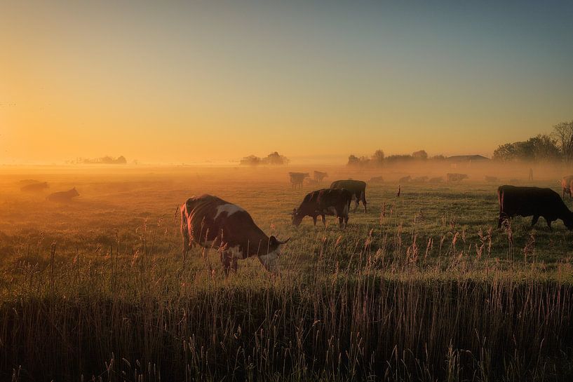 Early morning by Dieter Ludorf