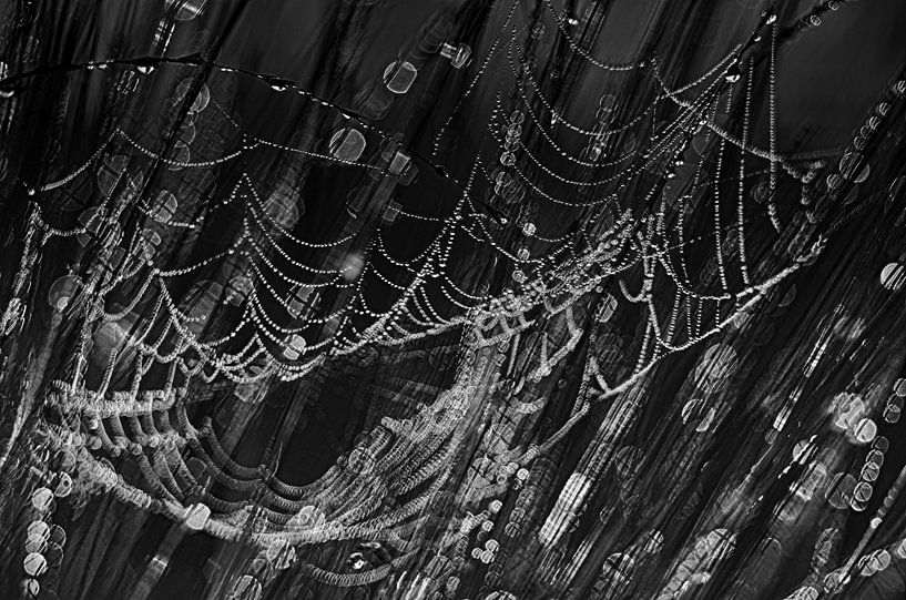 Spinnenweb in de wind von Peter Westerik