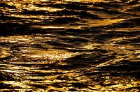 The golden sea at Blue Bay Curaçao