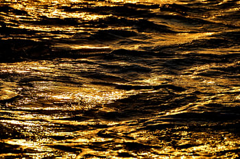 Das goldene Meer an der Blue Bay Curaçao