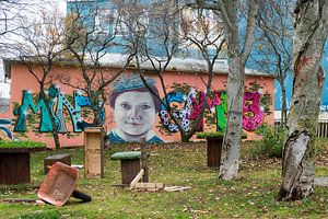 Muurschildering Reykjavik IJsland van René Schotanus