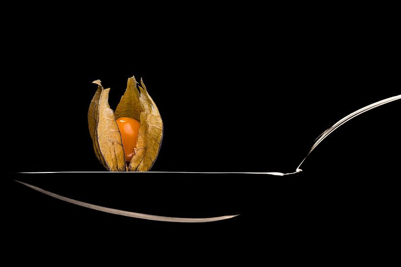 Physalis - de kroon op het werk van Erich Krätschmer