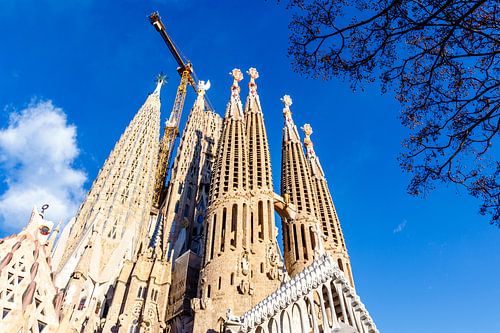 Façade van de Sagrada Familia kerk in Barcelona, Catalonia, Spanje