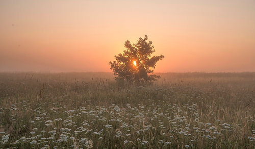 Sunrise on a misty morning by John Leeninga