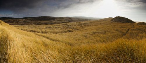 Panorama duinen Bergen aan Zee