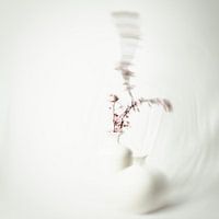 Dreamy Bloom: Oasis of Tranquillity and Abstraction