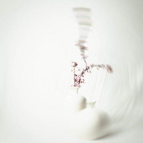 Dromerige Bloei: Oase van Rust en Abstractie