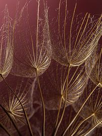 Naturally chic: Gold in the warm light by Marjolijn van den Berg