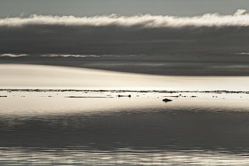 Spitsbergen: magisch Arctisch landschap van Dirk-Jan Steehouwer