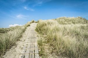 Chemin des dunes