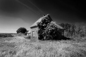 Ein kleiner haus im Biesbosch