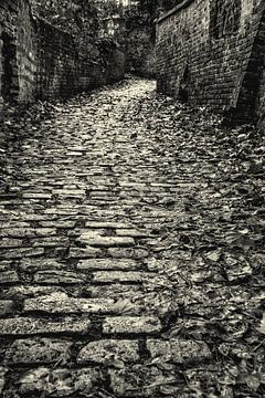 Kopfsteinpflaster Gasse in Löwen, schwarz und weiß von Manuel Declerck