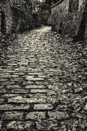 Allée pavée à Louvain, noir et blanc