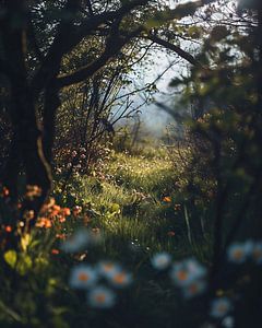 Frühlingslandschaft