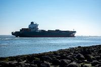 Containerschiff in Küstennähe bei Ritthem