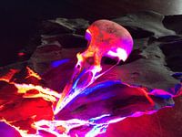 The rgb skull