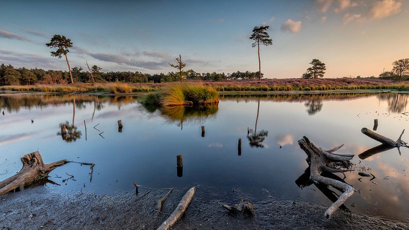 Hatertse and Overasselt Fens by Cor de Bruijn Photography