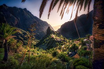 Het verborgen juweel van Tenerife van Loris Photography