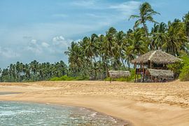 A tropical beach with a simple restaurant in Sri Lanka