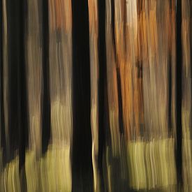 Abstracte herfst van Jan Paul Kraaij