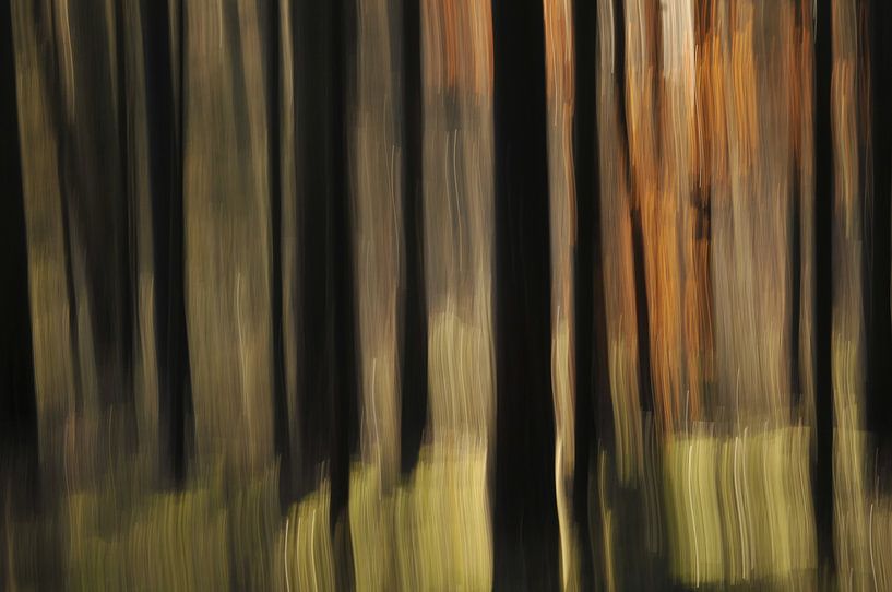 Abstracte herfst van Jan Paul Kraaij