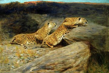 Arthur Wardle, traqueurs de cerfs