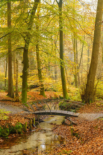 Arched footbridge in an autumn forest