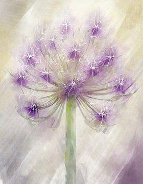 Zijdeachtige bloemen van sieruien (allium) 2 van Studio Pieternel, Fotografie en Digitale kunst