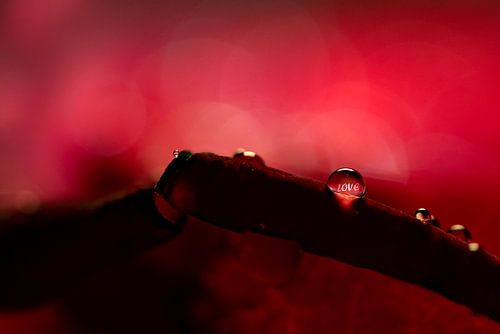 Liebe Valentinsgruß