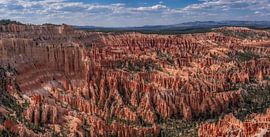 Bryce Canyon van Photo Wall Decoration