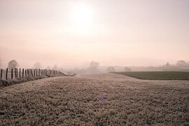 Gefrorene Felder von Linda Hanzen