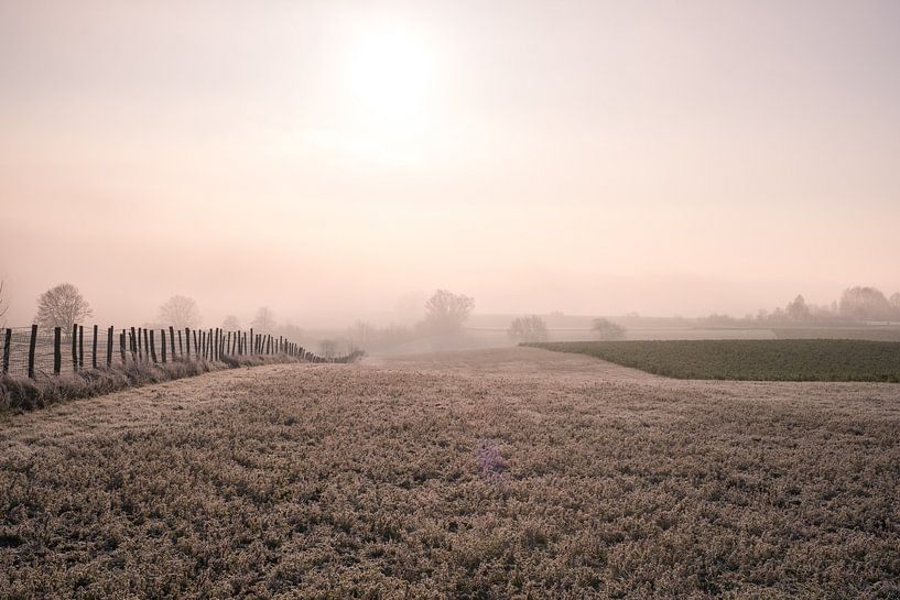 Frozen fields by Linda Hanzen