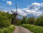 Mill de Vrijheid in Beesd by Bart van den Dikkenberg thumbnail
