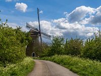 Mill de Vrijheid in Beesd