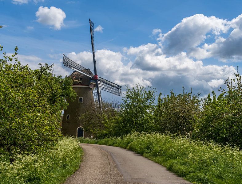 Mill de Vrijheid in Beesd by Bart van den Dikkenberg