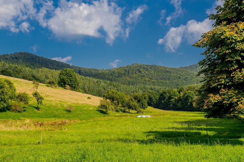 Promenade détendue de fin d'été sur le Rennsteig/Forêt de Thuringe par Oliver Hlavaty
