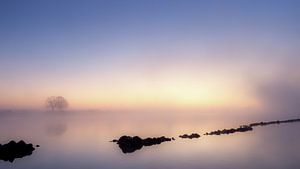 Die Maas in der Morgendämmerung