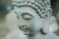 Buddha in the garden