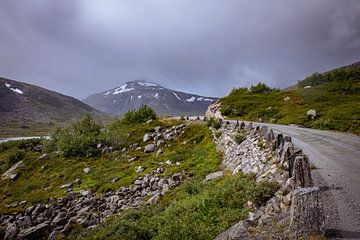 Old Norwegian mountain road across plateau by Bart Berendsen