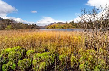 Muckross Lake in Killarney National Park, County Kerry, Munster Province, Ierland van Mieneke Andeweg-van Rijn