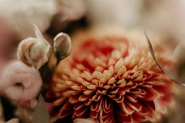 Flowers by Denny Lerch