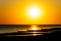 Sweet summer sunset