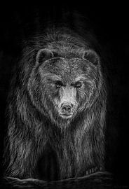 De grote beer poster van marleen hager