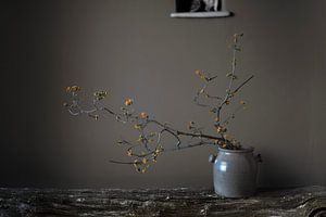 Stilleben mit orangefarbener Frühlingsblüte
