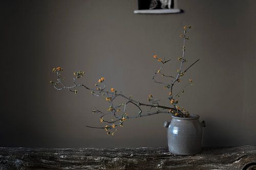 Still life with orange spring blossom by Affect Fotografie
