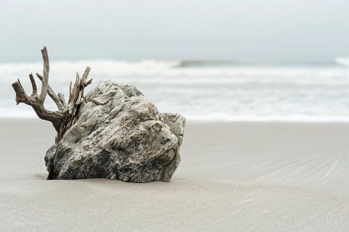 Minimalistische strandfotografie - rust aan zee met drijfhout