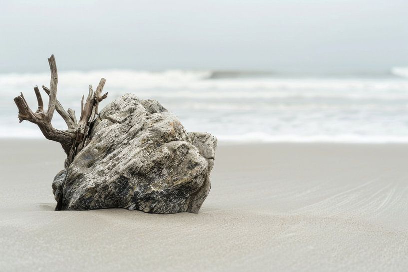 Minimalistische Strandfotografie – Ruhe am Meer mit Treibholz von Poster Art Shop
